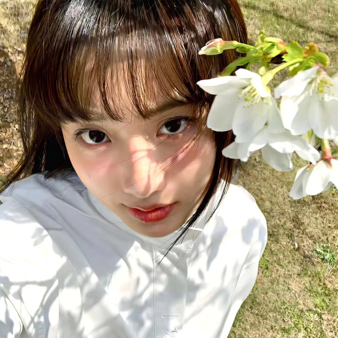 多妻朝圣者